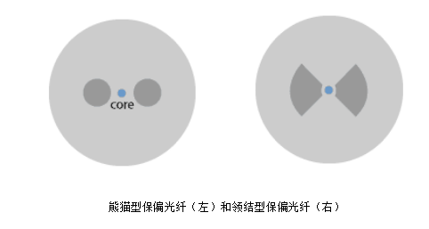 明美顯微成像系統(tǒng)