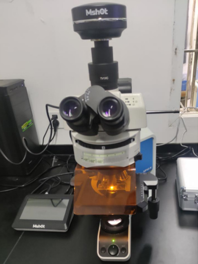 熒光顯微鏡MF43-N搭配顯微鏡相機(jī)、觸摸屏寬光譜大功率LED光源觀察藻類